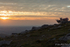 Sunset onlookers!