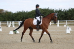 SBM_020906