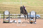 BPP_0065