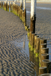 West Wittering - 21