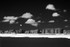 Lytham 05