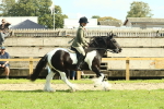 SBM_67584