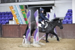 SBM_000496