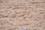 230708A-142540-03055