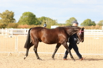 SBM_18323