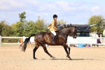 SBM_12922