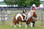 SBM_08094