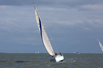 141025 PETAL K1481 WT7A9512