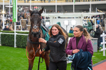 151125-Race 3-Brentford Hope-2951