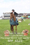 BPP_6523