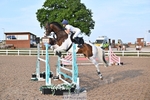 1.00m & 1.10m Classes portfolio