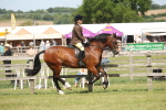 SBM_07682