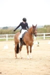 SBM_020194