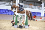 Class 24 - Equine Star Championship Qualifier 1.10m portfolio