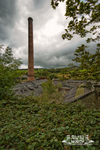 Brook Dyeing 16