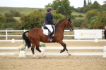 SBM_002978