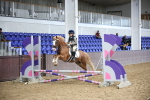 SBM_001573