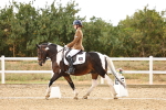 SBM_006738