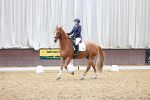 SBM_020699