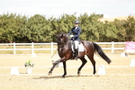 SBM_009462