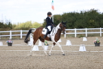SBM_014456