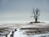 WAITING FOR GODOT - NIAGARA REGION