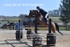 BPP_7562