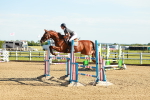 SBM_003217