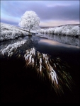 Winters Day