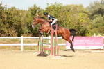 SBM_003950