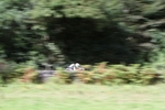 FOM_0739