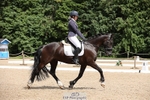 232-Samantha_Pring-Tongwynlais_Moon_Dancer portfolio