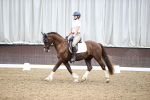 SBM_003605