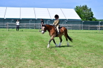 SBM_06038
