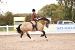 SBM_19096
