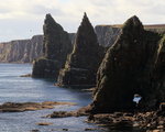 Symmetry of the Duncansby Stacks, North East Scotland