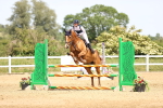 SBM_004460