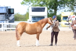 SBM_02451