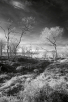 Planet Peaks
