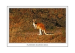 FLINDERS RANGES RED.