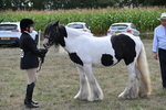 WJ6_6643
