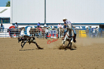 3HRodeo8-11-25_PRCASteer_07112_