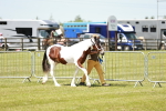 SBM_05484