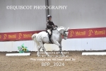 BPP_3924