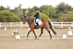 SBM_008633