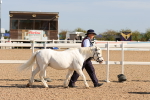 SBM_17663