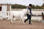 SBM_18553