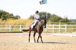 SBM_006669