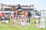 BPP_7216