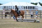WJ7_1668